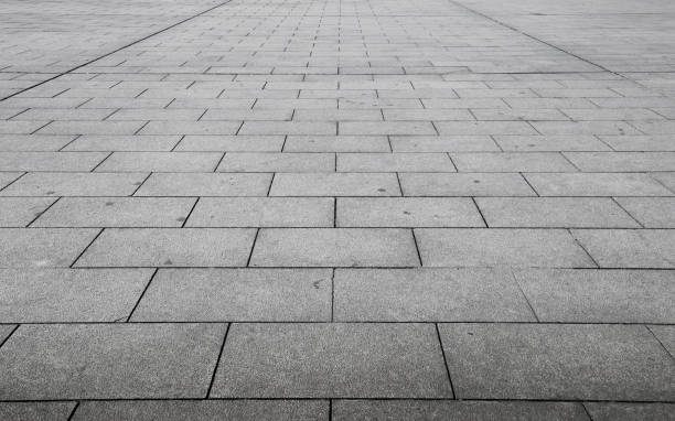 Best Permeable Paver Driveways  in Montverde, FL